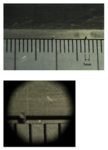 /temp/200_150_135a325dc5e5480ab7f03e4c0e3f5eb0.png