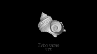 /temp/200_150_2f5ba4a029e5ad6c57e30845832c0e3f01093636.png