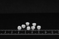 /temp/200_150_d05041cae2f6e4b1a74344be4b201471.JPG