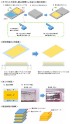 光学用OCAテープのオフセット加工