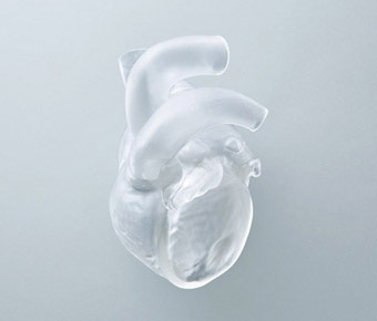対応可能素材2 シリコーン 心臓モデル 臓器 3dプリンター出力 株式会社jmc